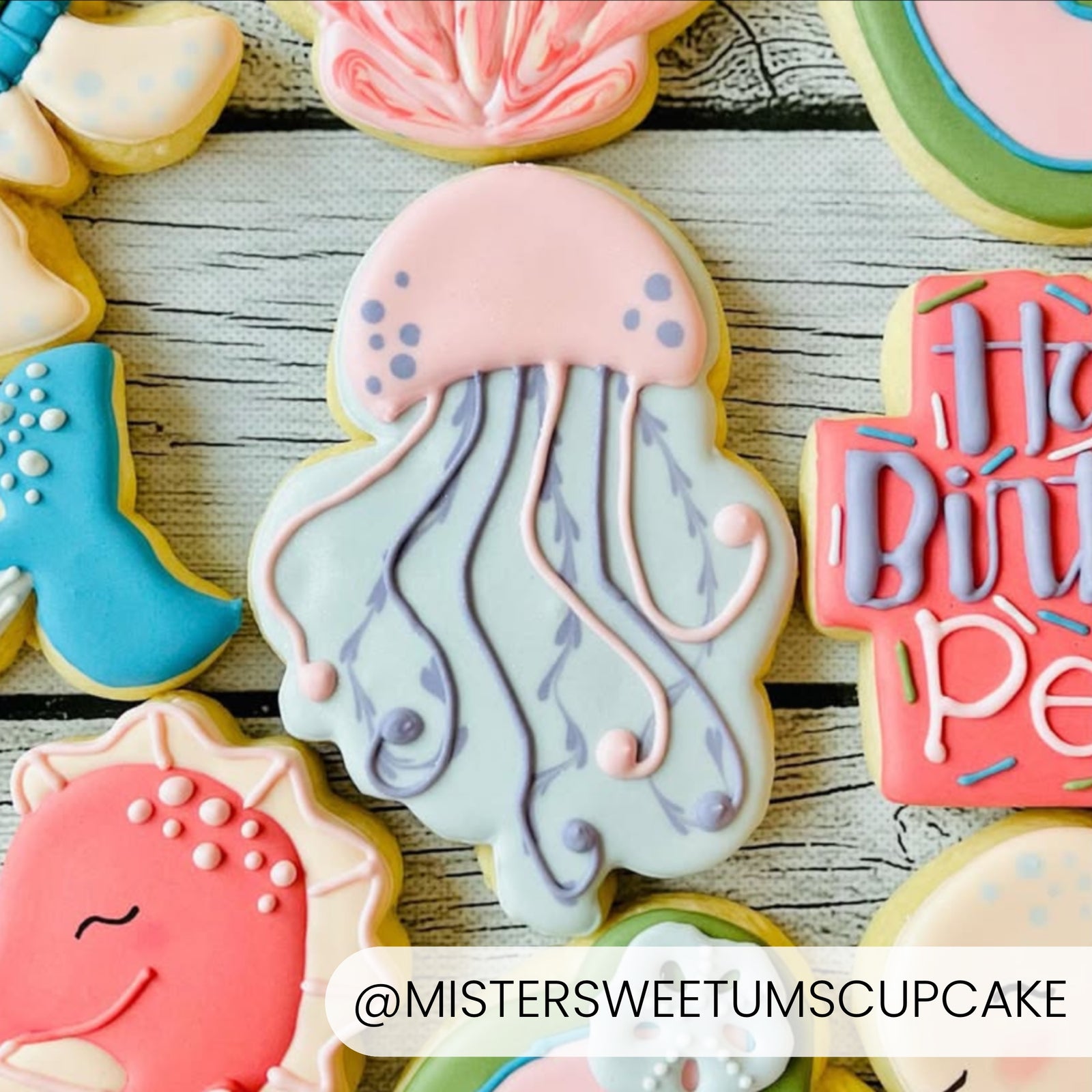 Cookie Cutters Jellyfish Cutter/Stencil