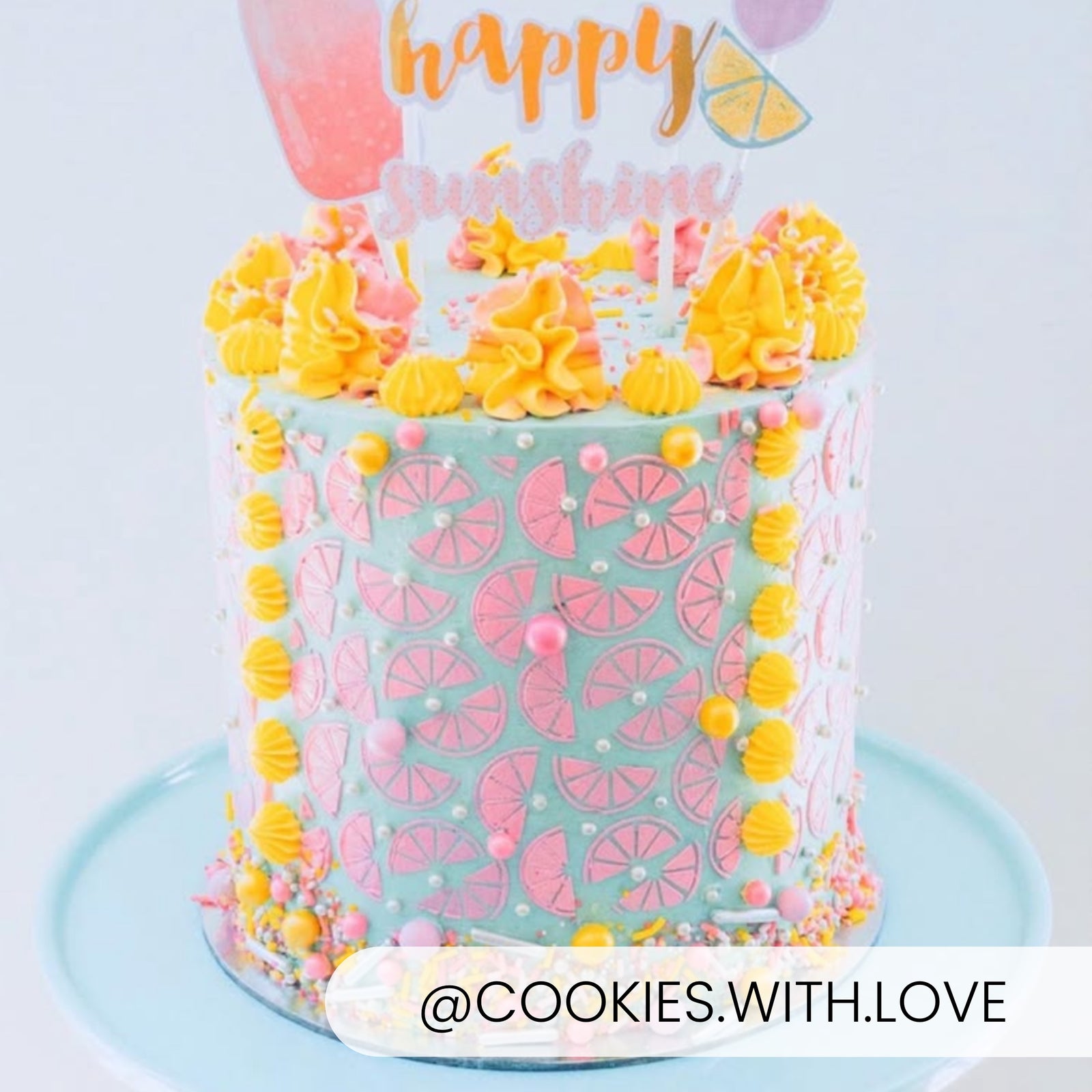 5.5 x 5.5 Stencil Orange Slices – Cookie Stencil