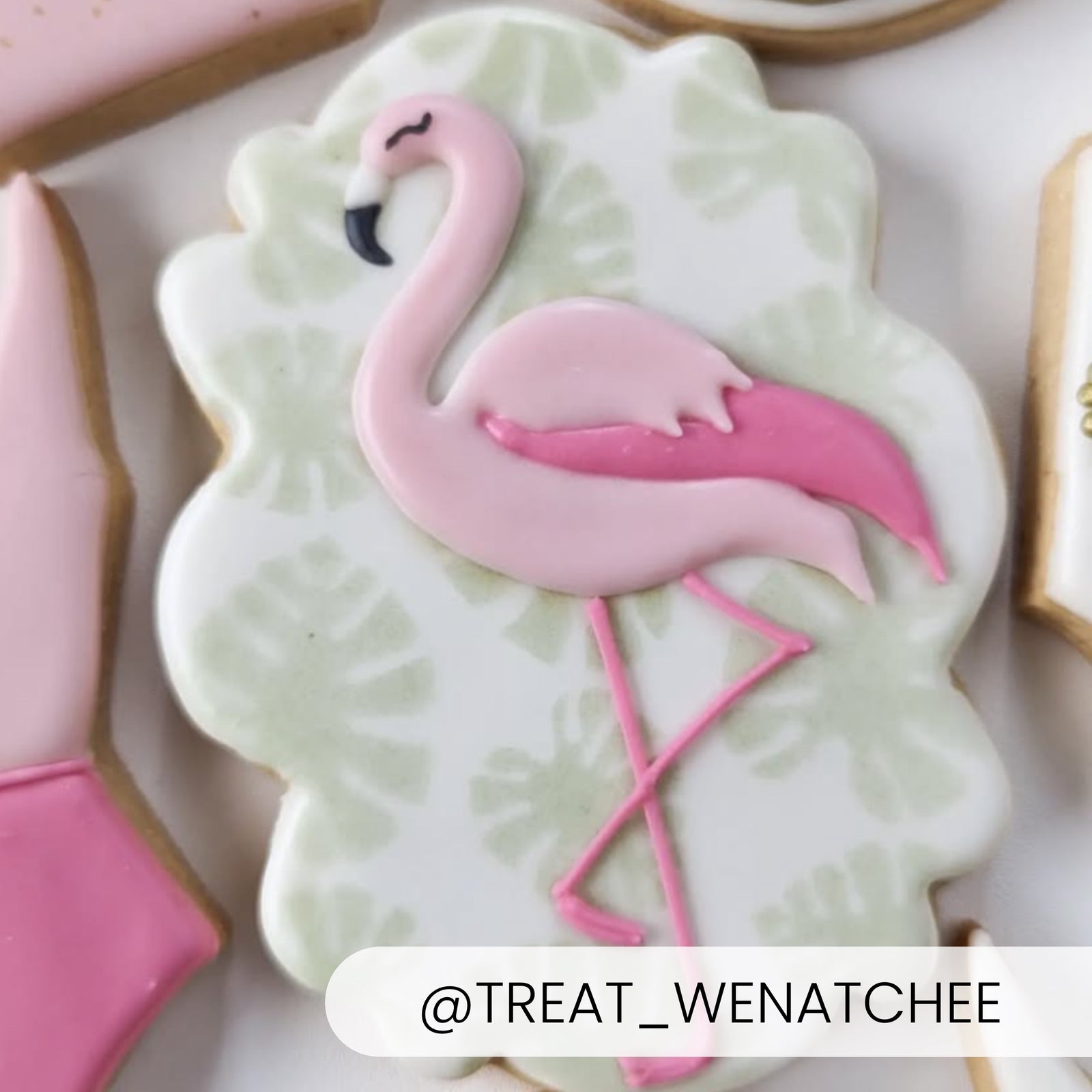 5.5 x 5.5 Stencil Palm Leaves – Cookie Stencil