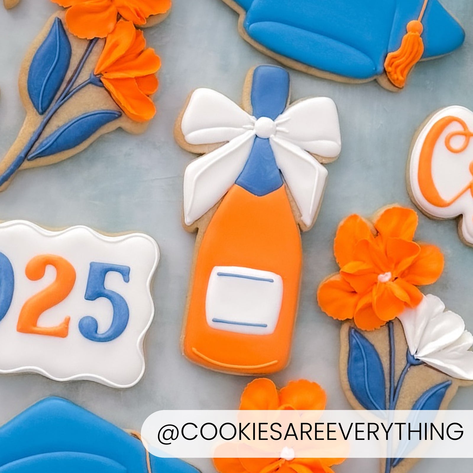 Cookie Cutters Champagne Bottle with Bow Cutter/Stencil