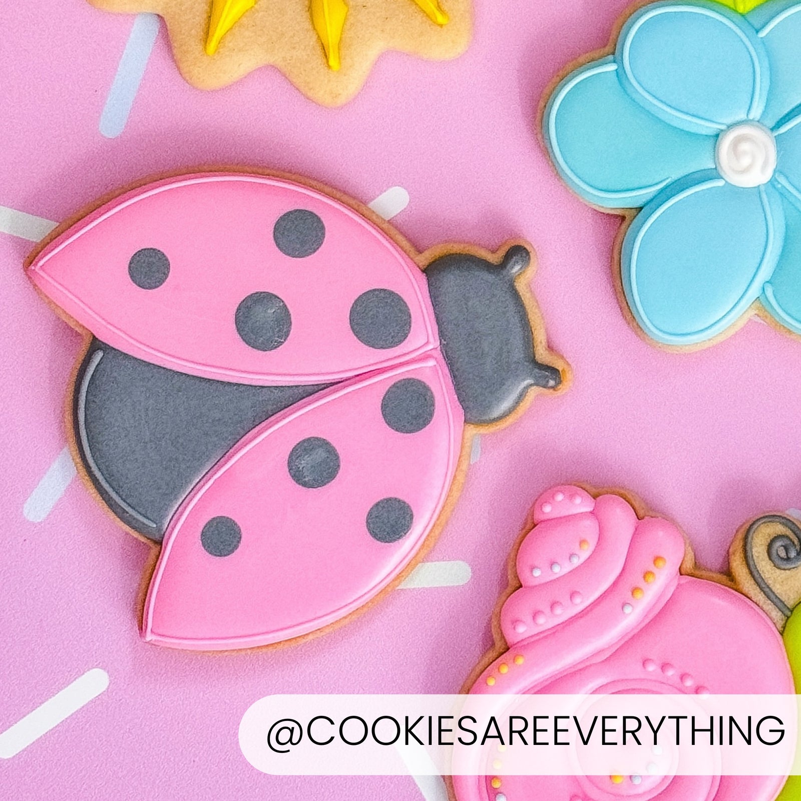 Ladybug – Cookie Cutter & Stencil Set