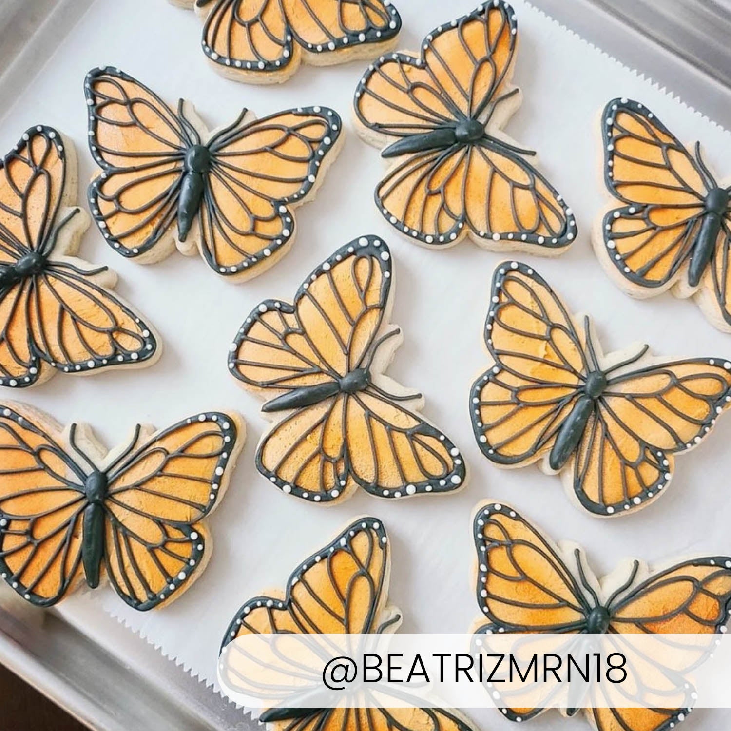 Cookie Cutters Butterfly – Cookie Cutter & Stencil Set