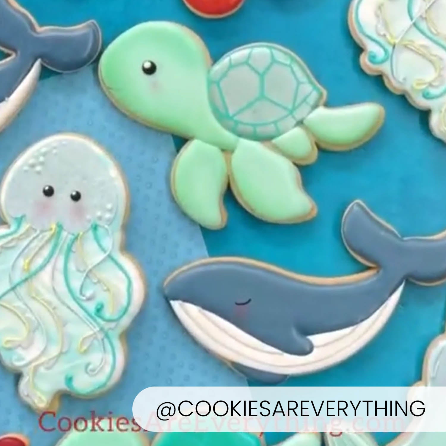 Turtle – Cookie Cutter & Stencil Set