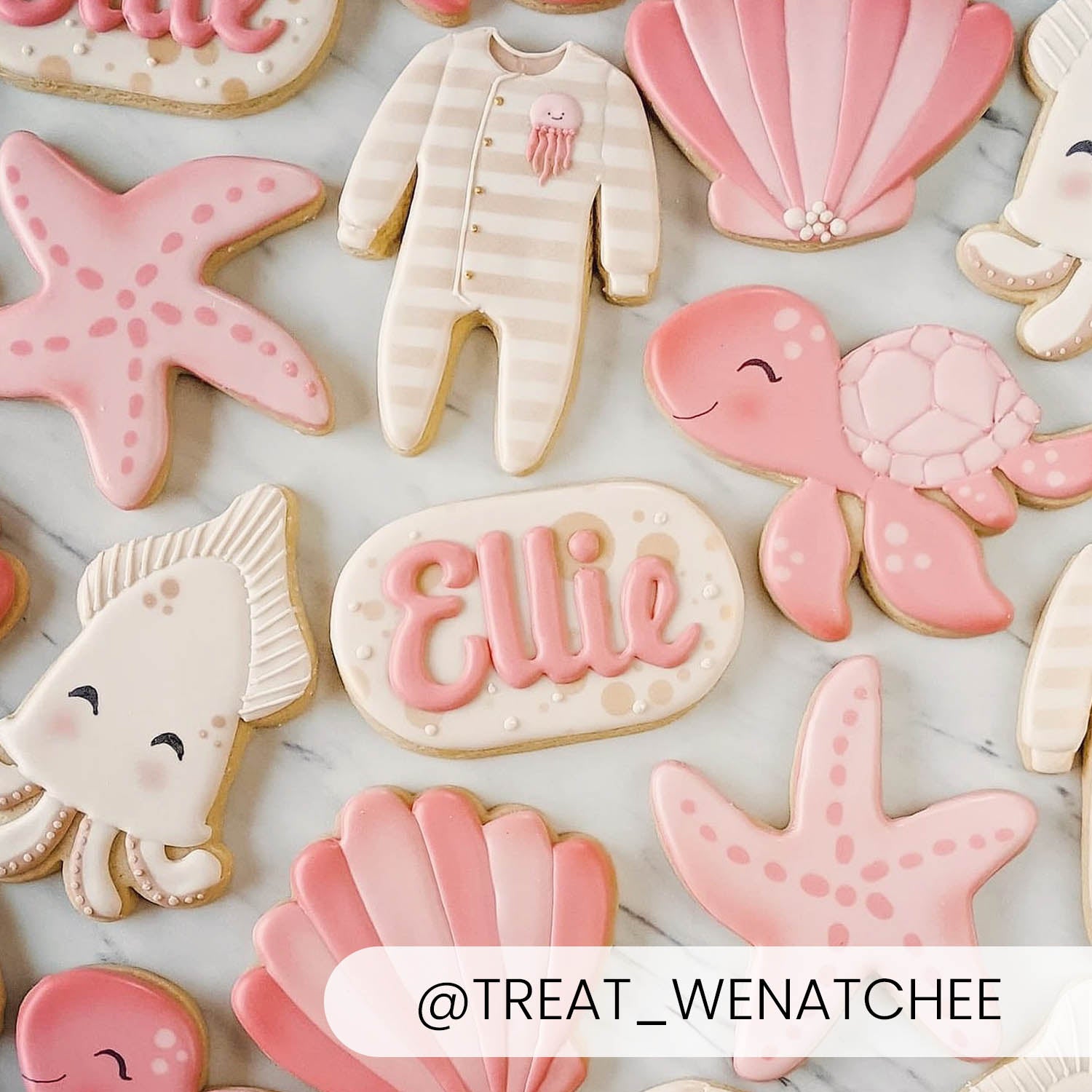 Cookie Cutters Turtle Cutter/Stencil