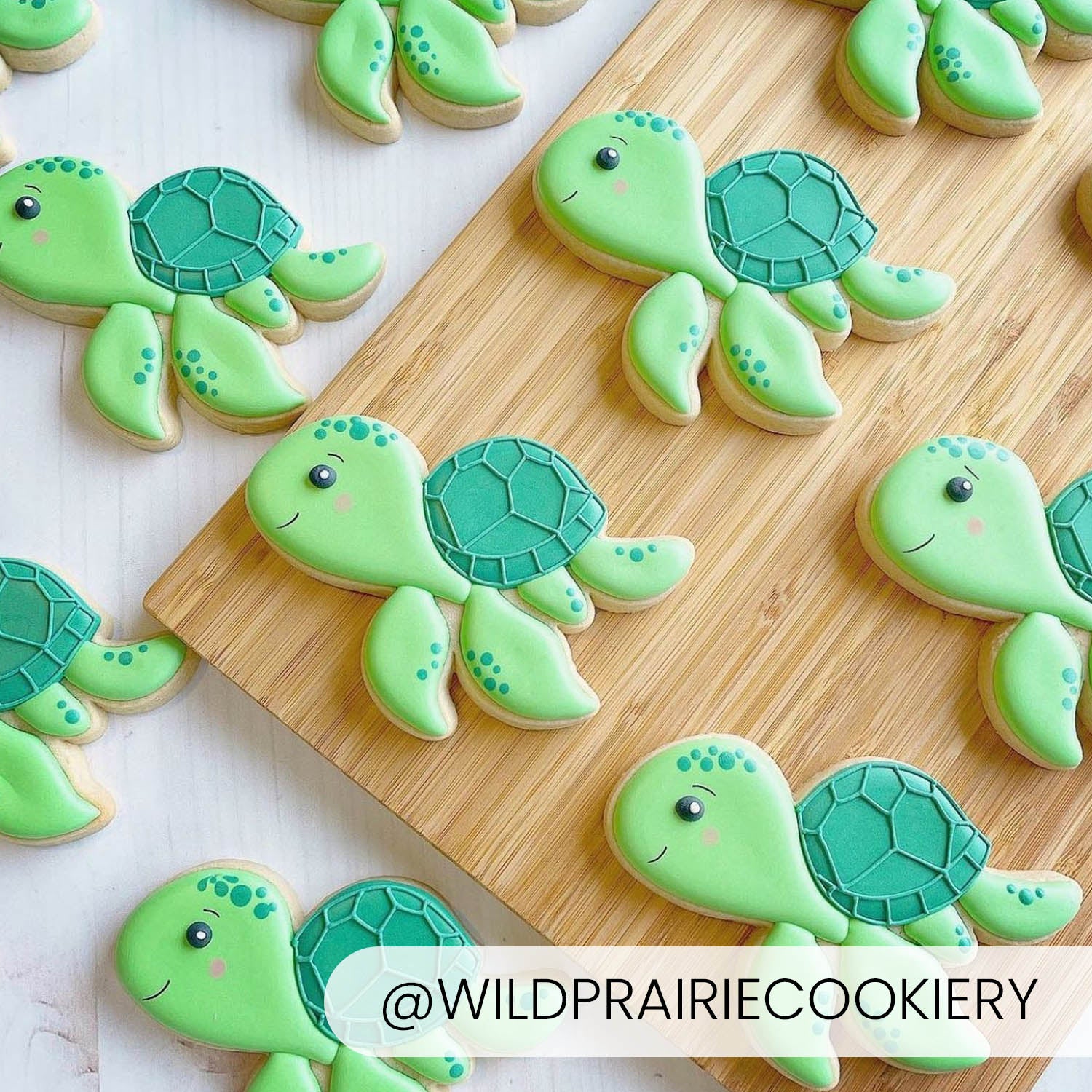 Cookie Cutters Turtle Cutter/Stencil