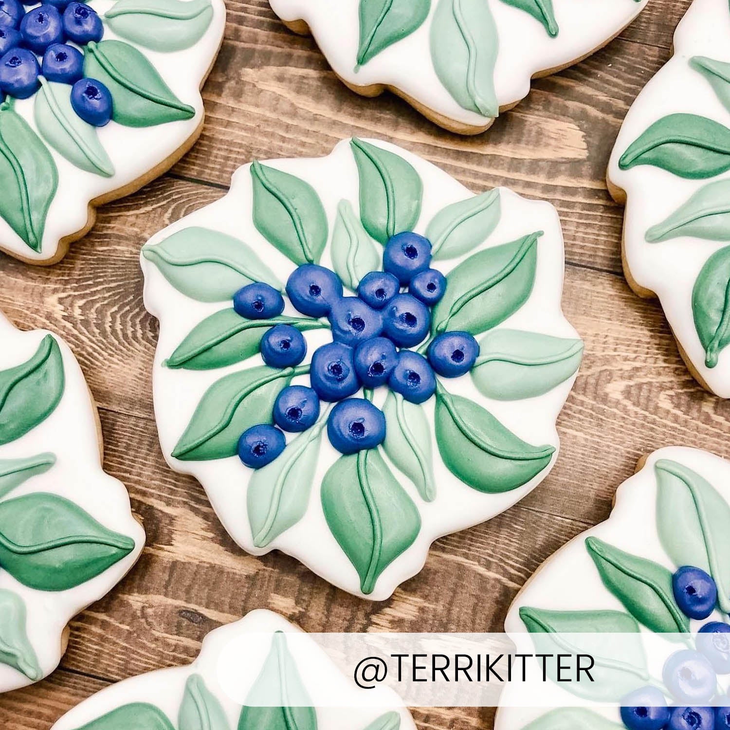 Cookie Cutters Wreath Cutter/Stencil