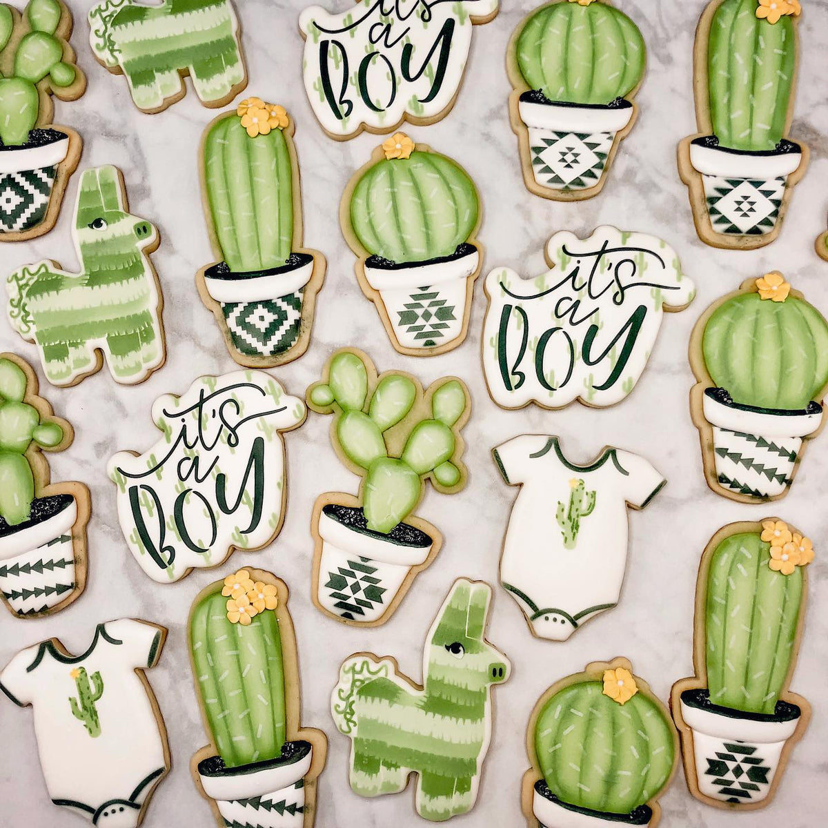 Cookie Cutters Barrel Cactus Cutter/Stencil