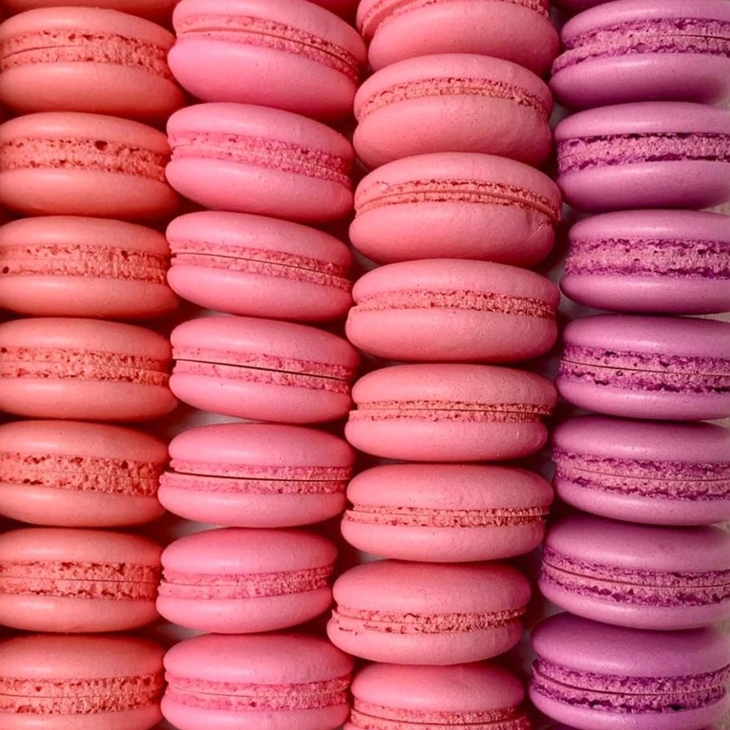 Soft Gel Paste AmeriColor Soft Gel Paste - DEEP PINK - Food Coloring