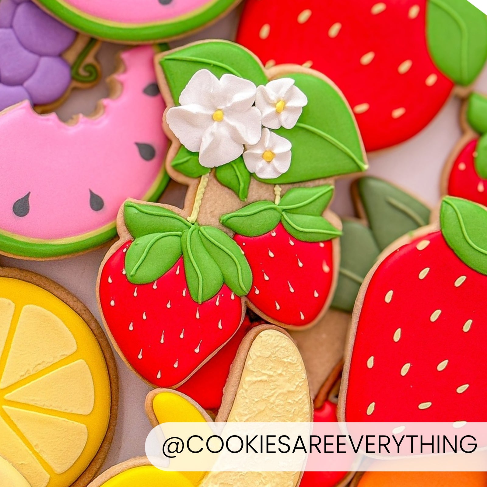 Cookie Cutters Strawberry Vine Cutter/Stencil