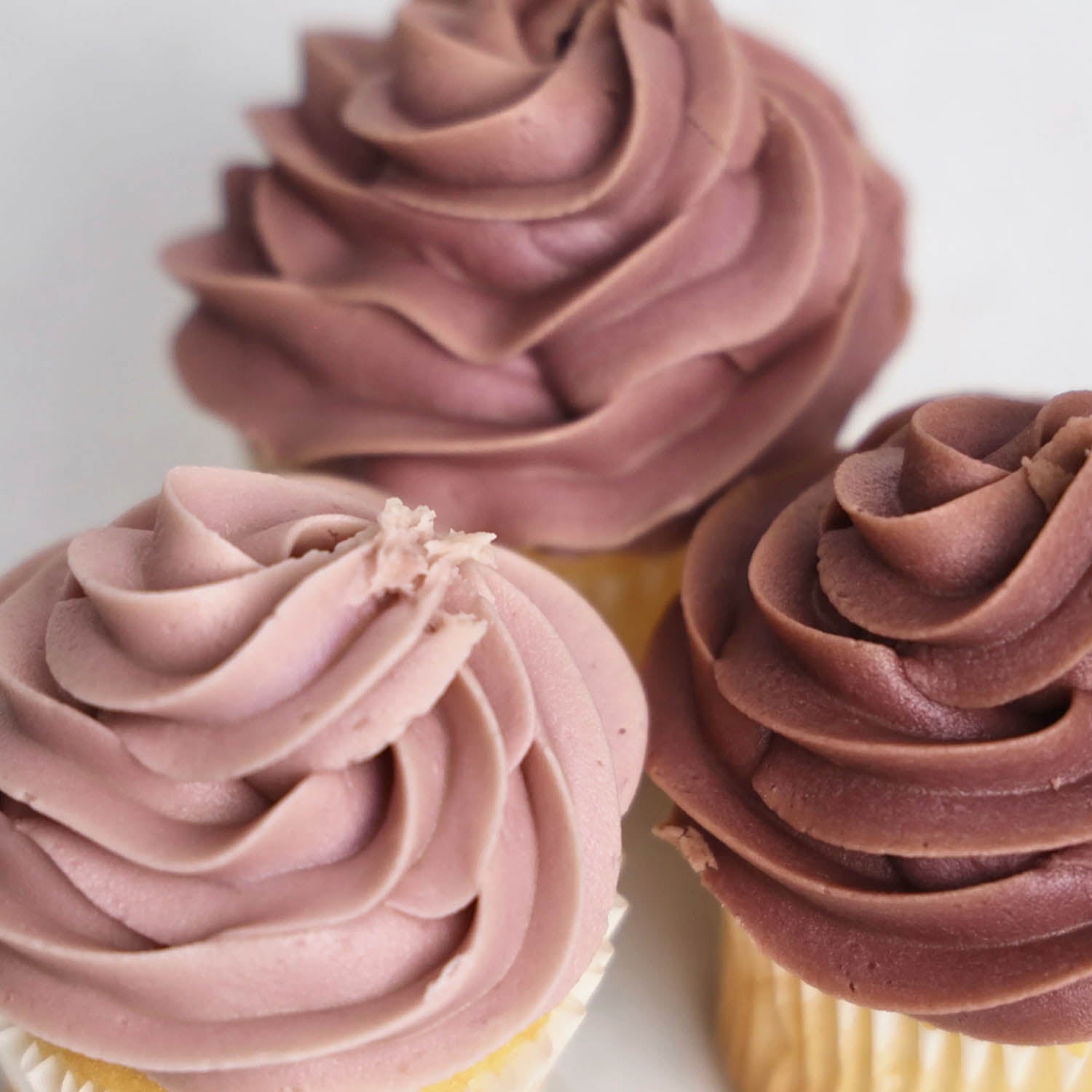 Natural Gel Color Natural Icing Color – Driftwood | The Sugar Art