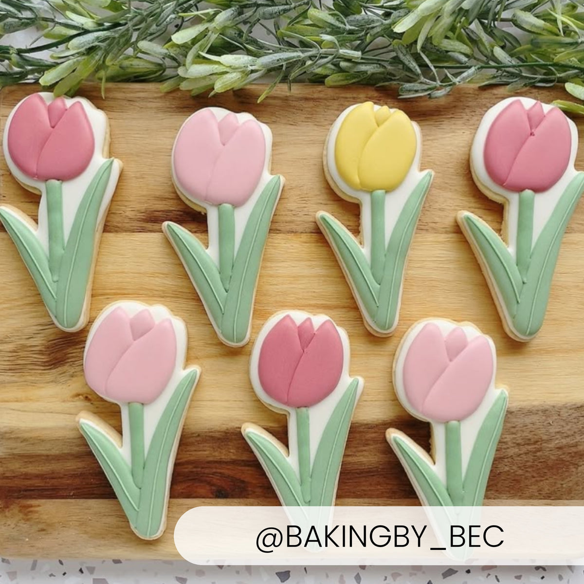 Cookie Cutters Tulip Cutter/Stencil