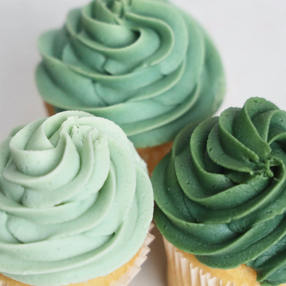 Natural Gel Color Natural Icing Color – Garden Sage | The Sugar Art