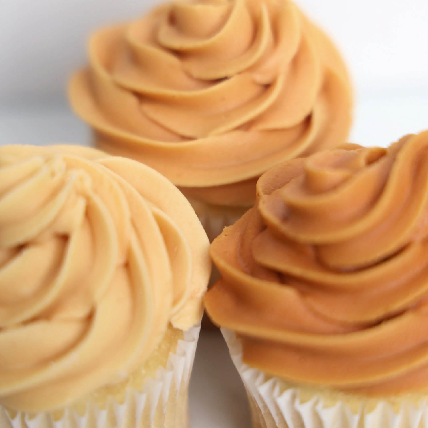 Natural Gel Color Natural Icing Color – Golden Ivory | The Sugar Art