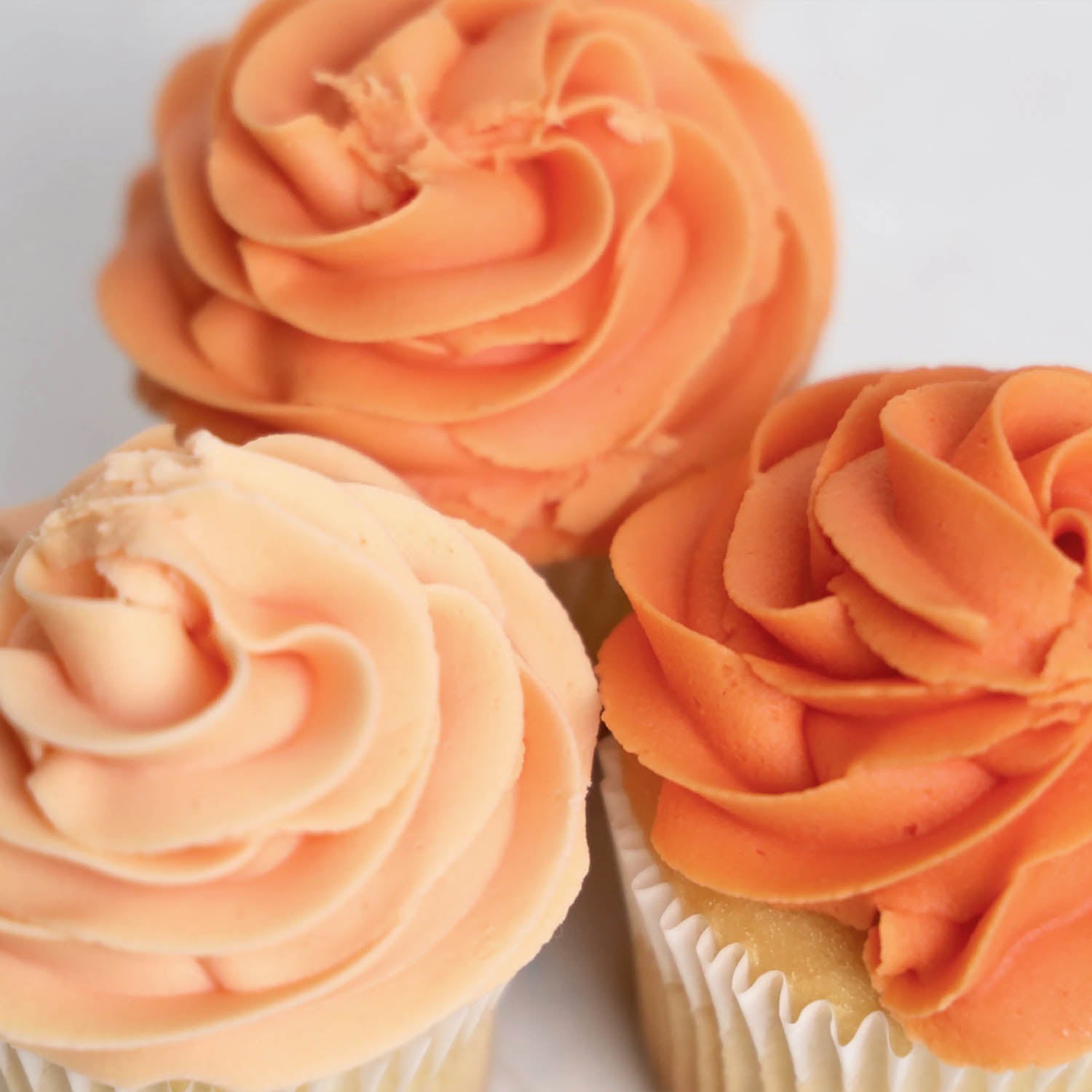 Natural Gel Color Natural Icing Color – Harvest | The Sugar Art