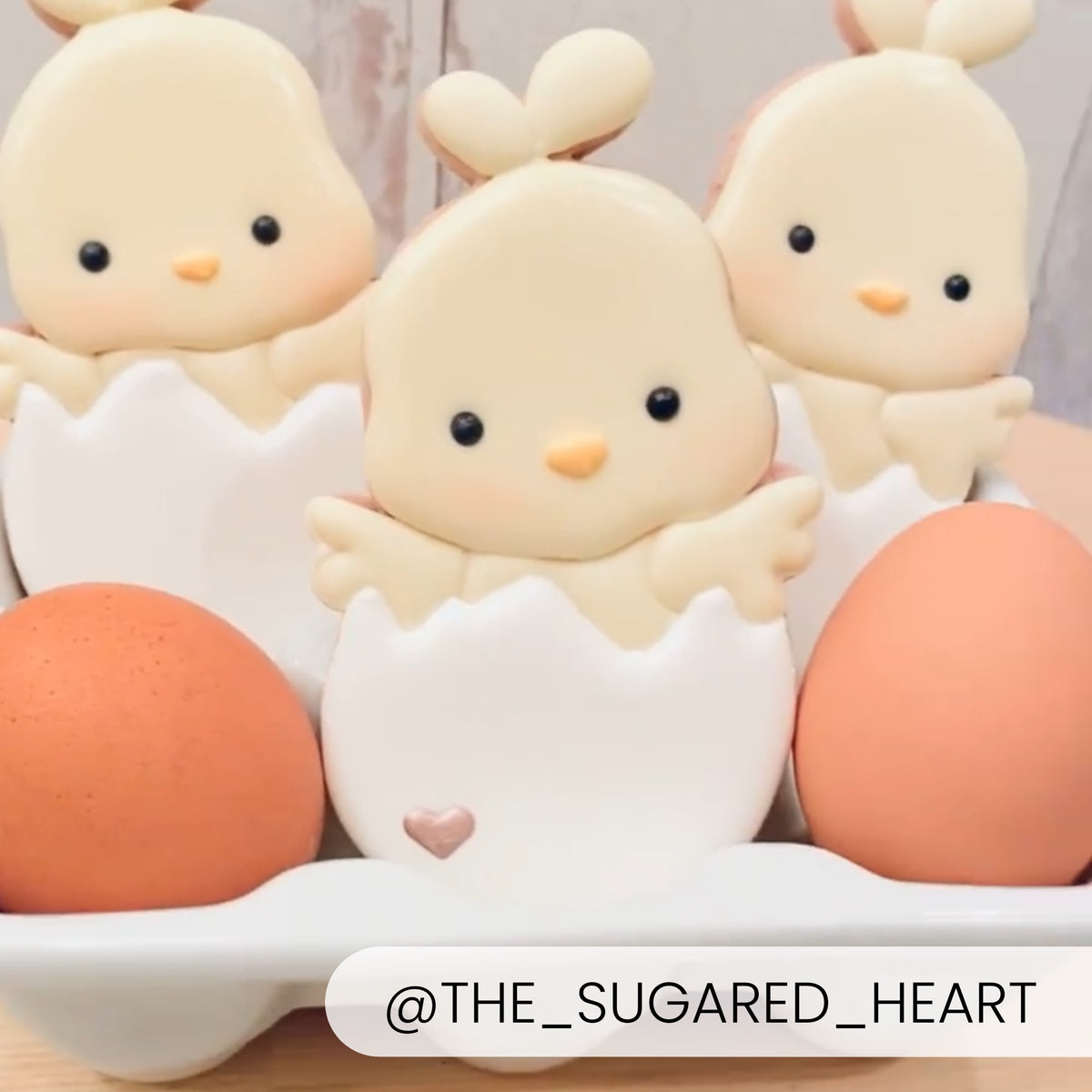 Cookie Cutters Chick in Egg Cutter/Stencil