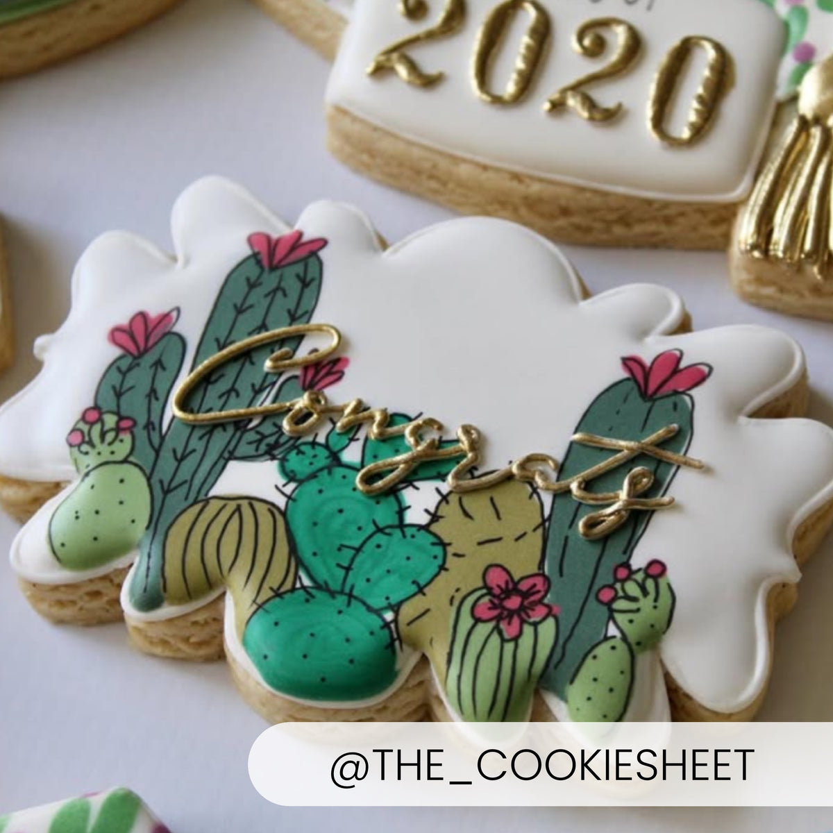 Cookie Cutters The Quinn Plaque Cookie Cutter