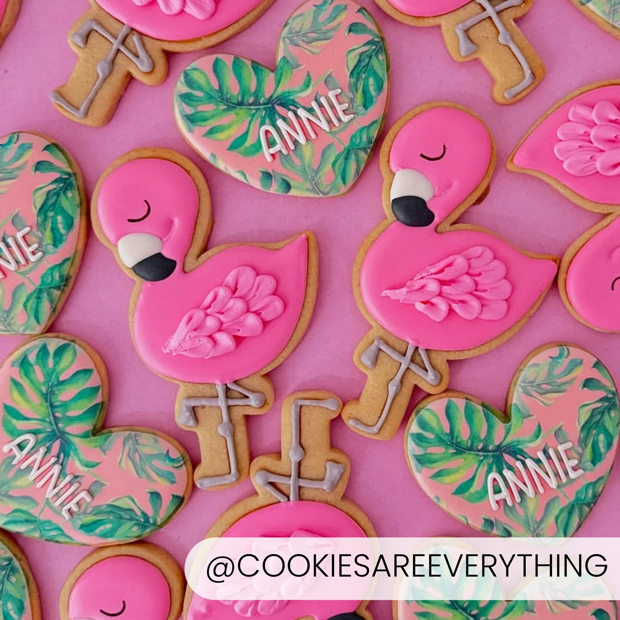 Cookie Cutters Flamingo Cutter/Stencil