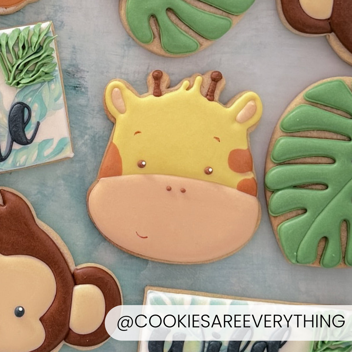 Cookie Cutters Giraffe Cutter/Stencil