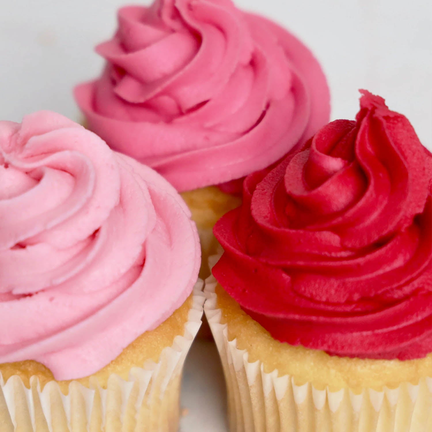 Natural Gel Color Natural Icing Color – Wild Rose | The Sugar Art