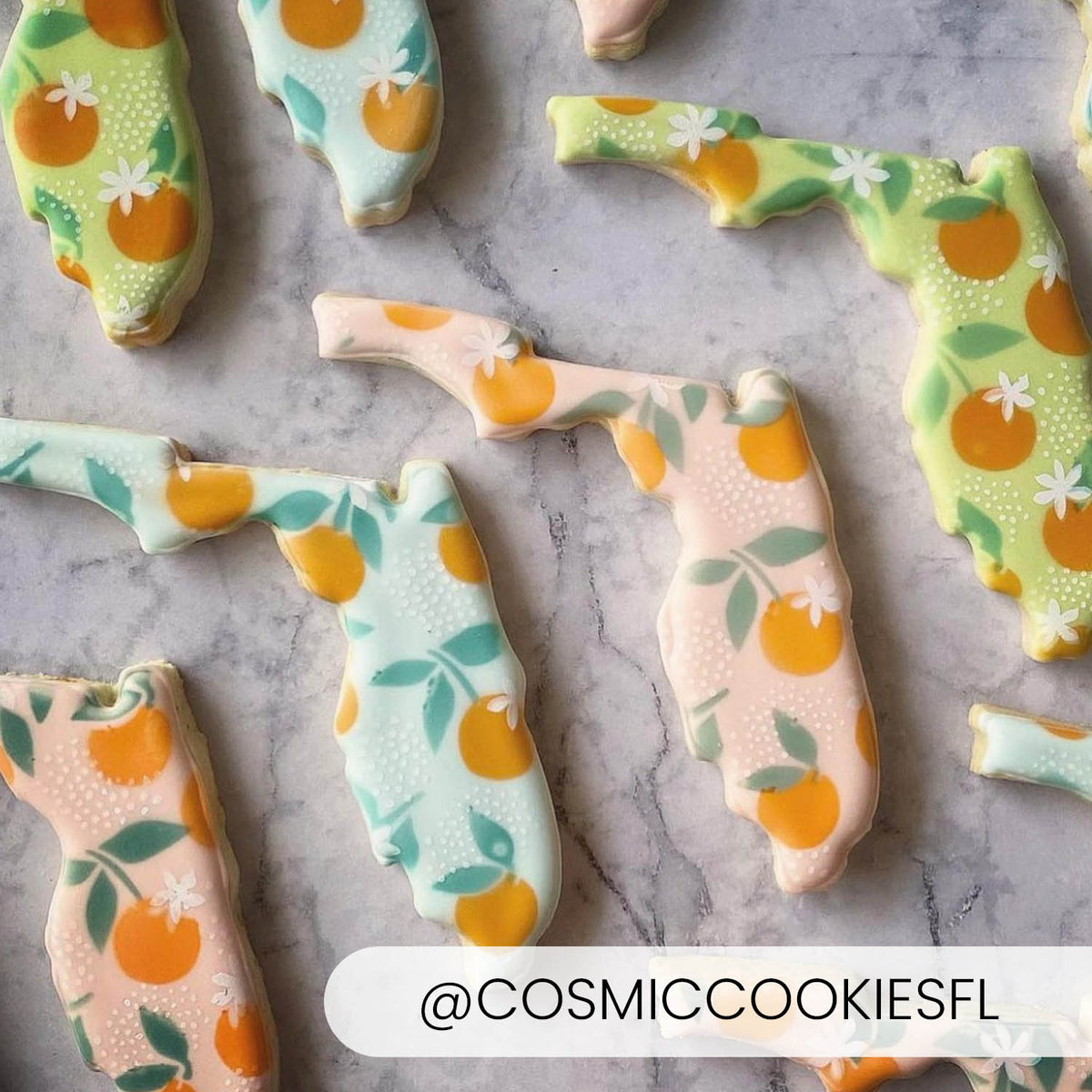 Cookie Cutters US State Cutters