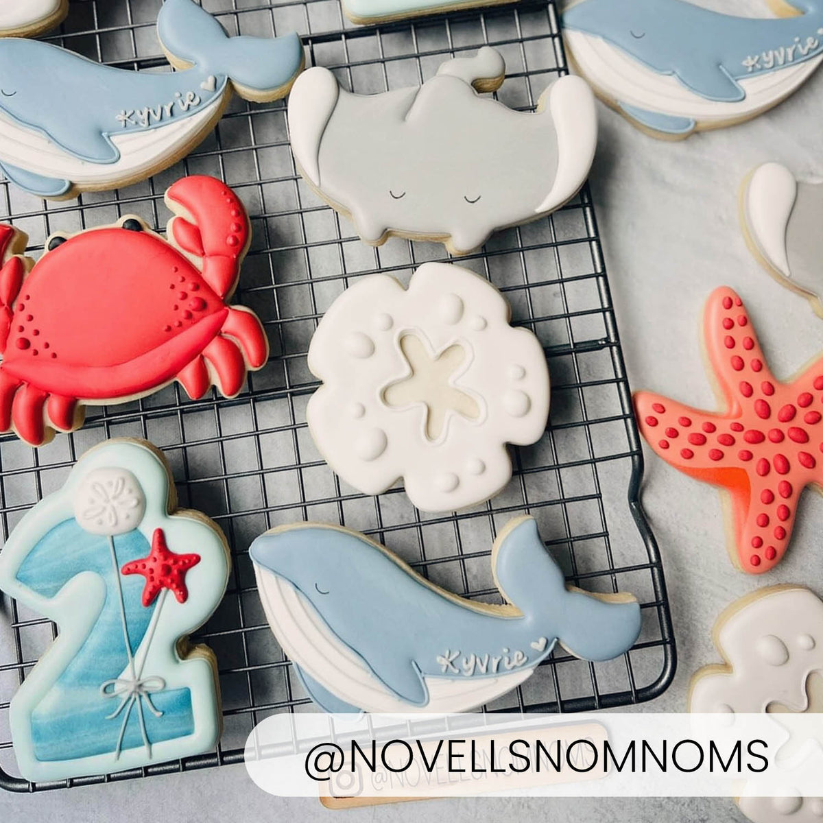 Humpback Whale – Cookie Cutter &amp; Stencil Set
