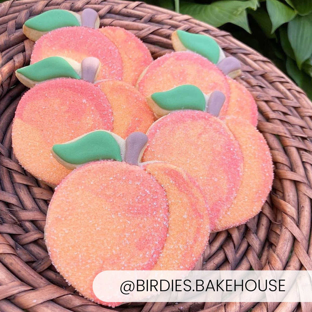 Cookie Cutters Peach Cutter/Stencil