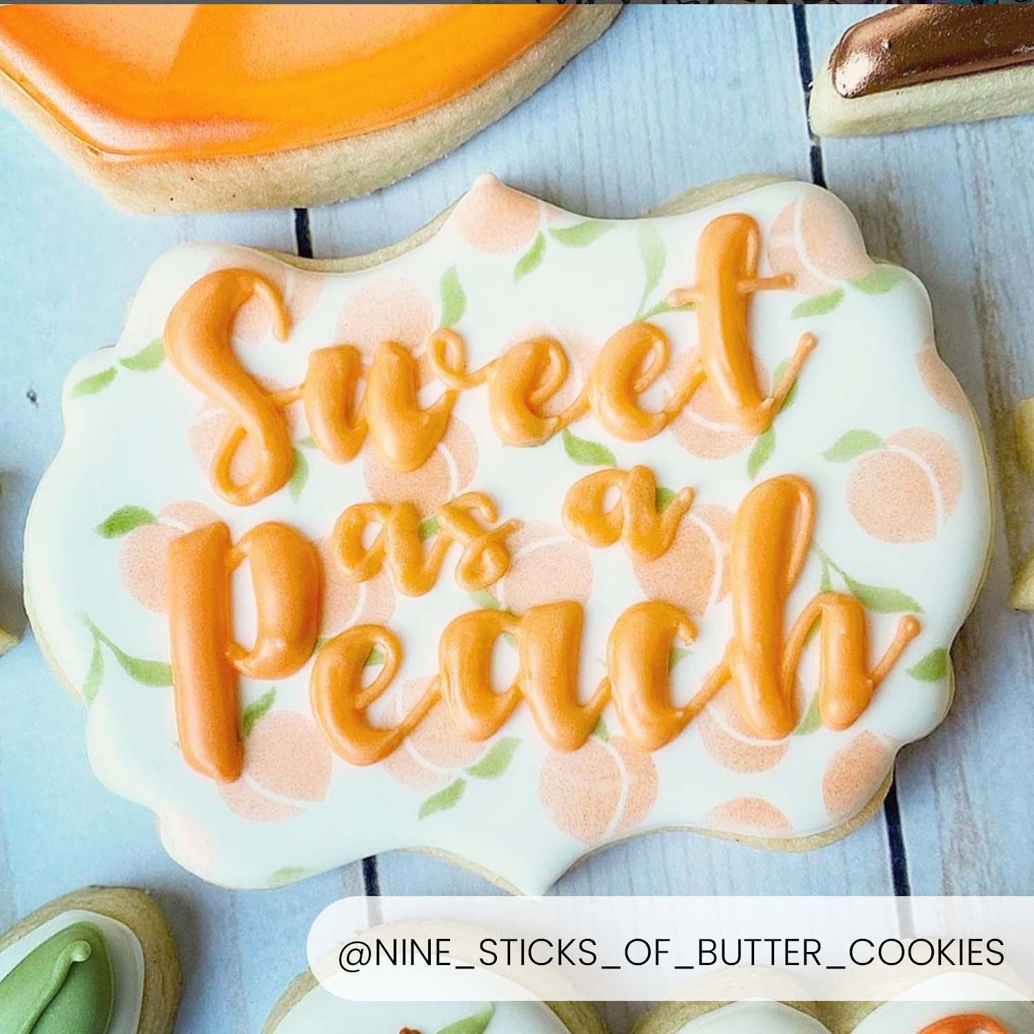 Cookie Cutters The Sloan Plaque Cutter