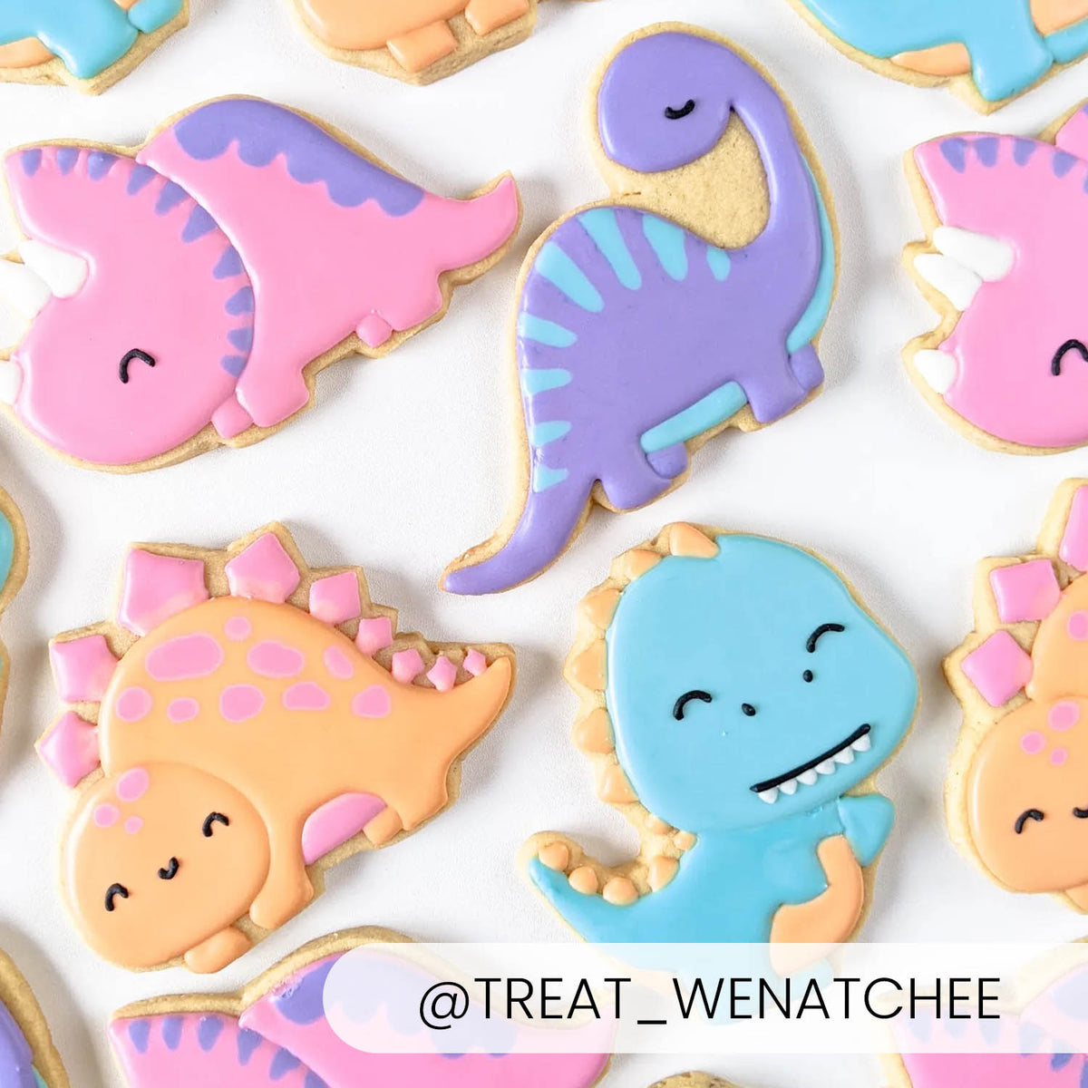 Brontosaurus – Cookie Cutter &amp; Stencil Set