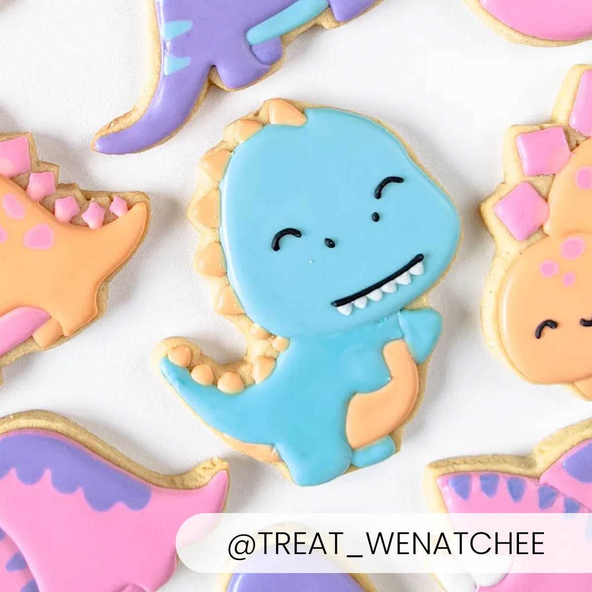 T-Rex – Cookie Cutter &amp; Stencil Set