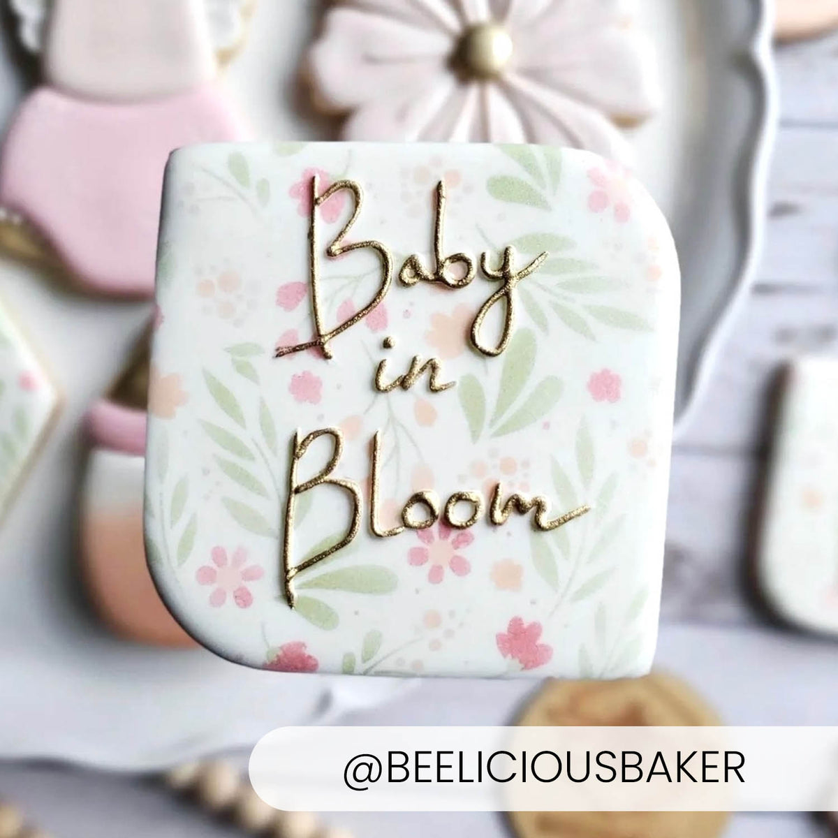 Cookie Cutters The Alice Plaque Cookie Cutter