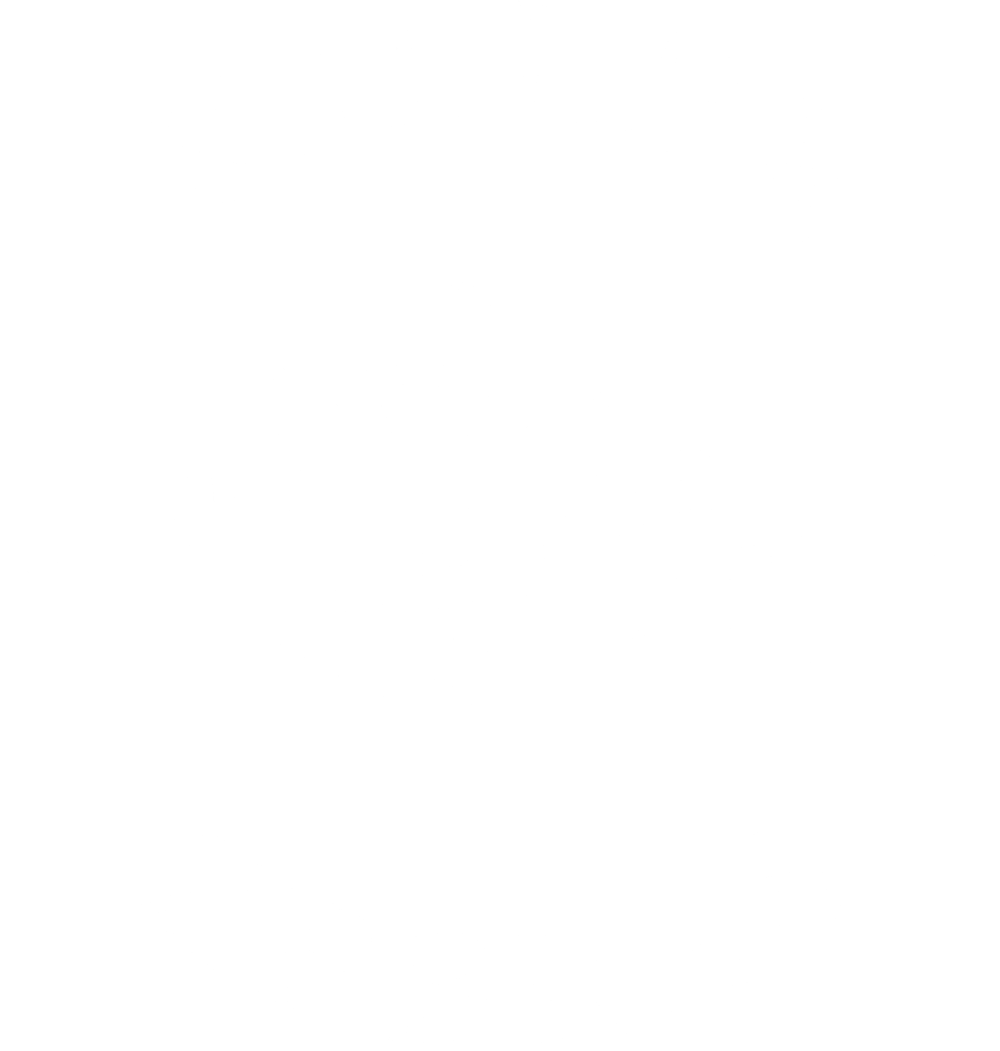 Bricks Stencil - Killer Zebras