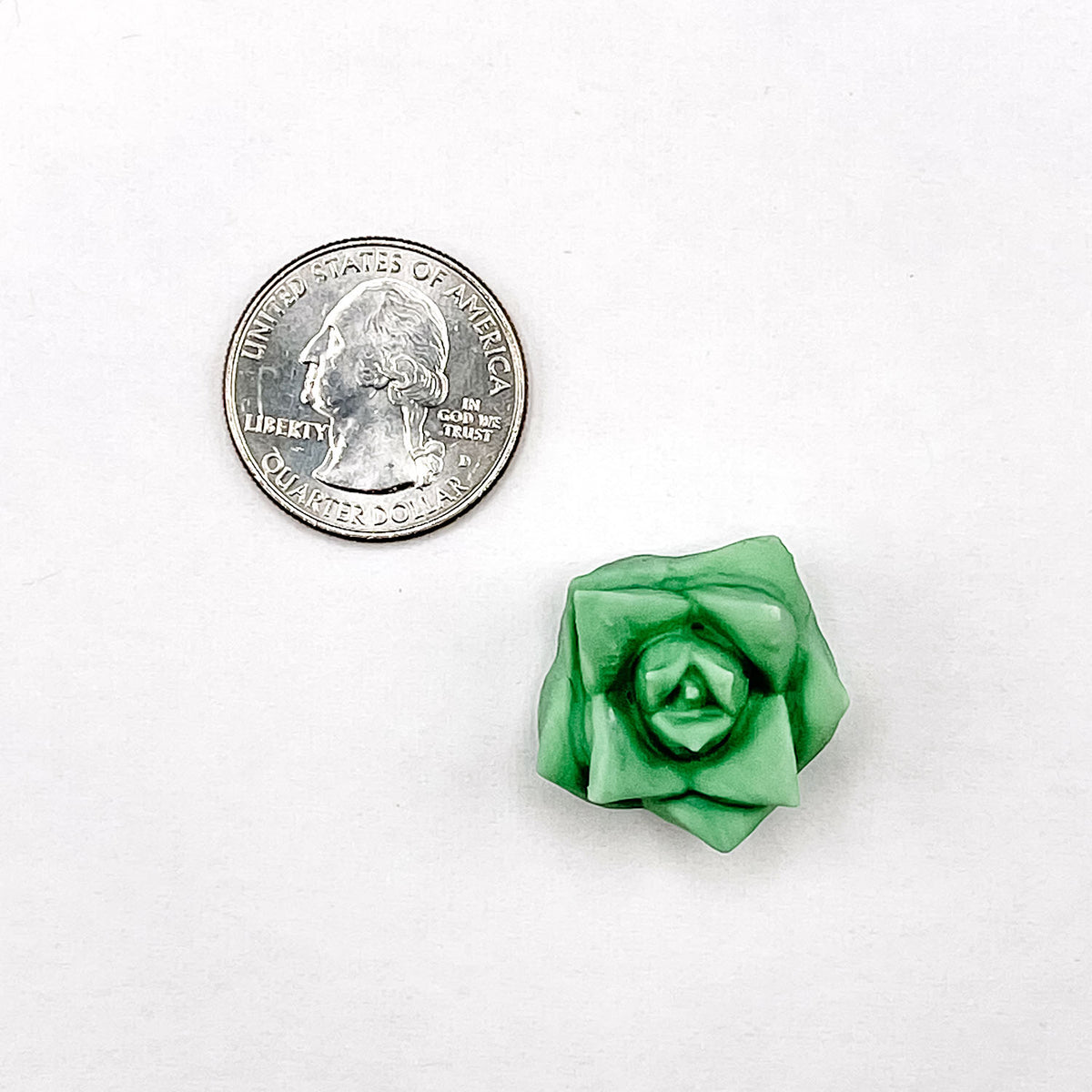 Molds Haworthia Succulent Mold
