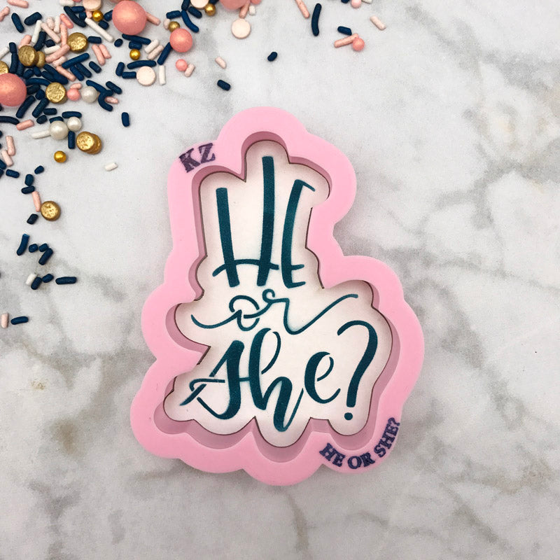 He or She? Hand Lettered