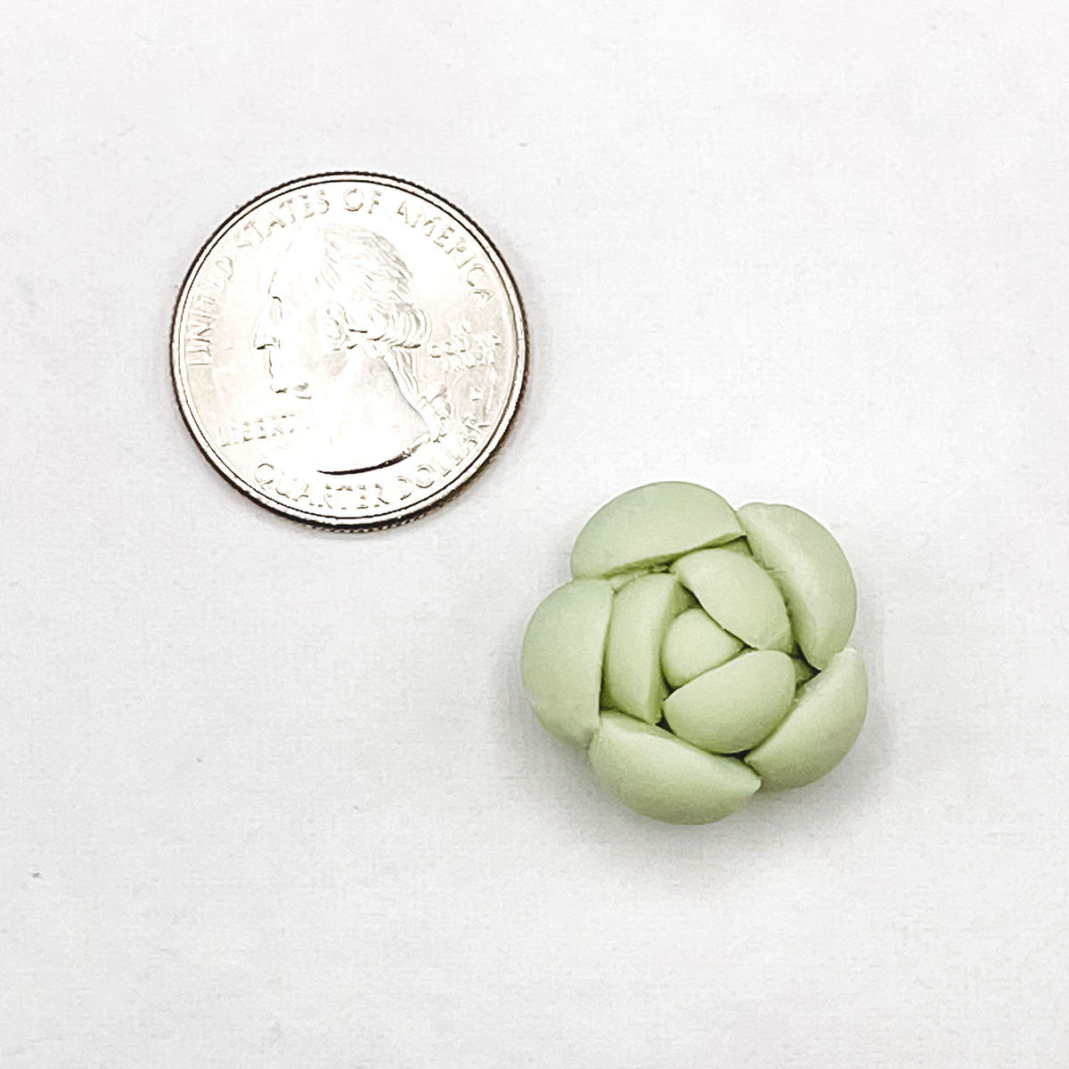 succulent mold silicone Moonstone Succulent Mold