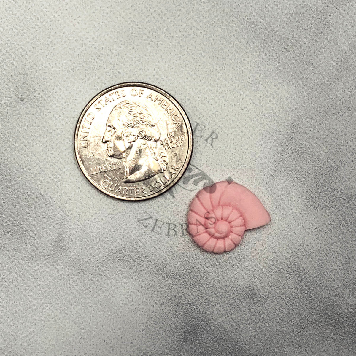 Molds Spiral Shell Mold