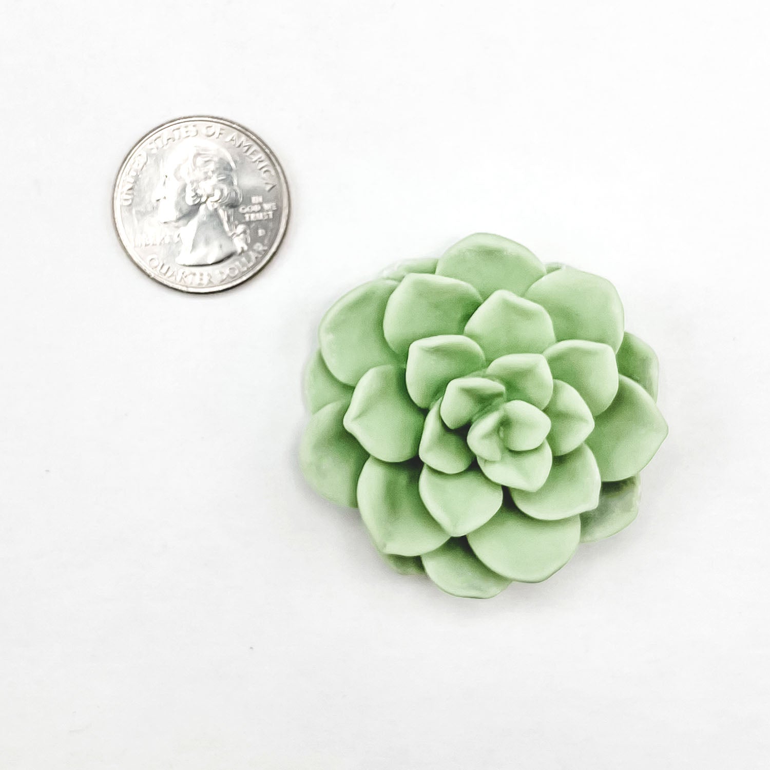 Molds Desert Rose Succulent Mold